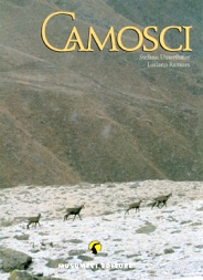 An award for Stefano’s book “Camosci”