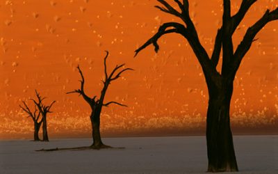 Visions of Earth by Stefano Unterthiner
