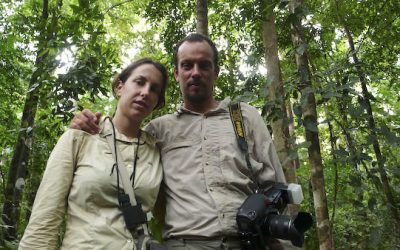A new wildlife story