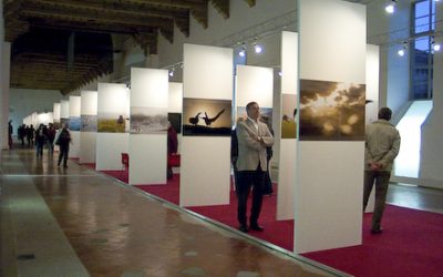 “King’s Odyssey” exhibition