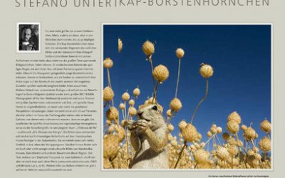 A new portfolio in Naturfoto