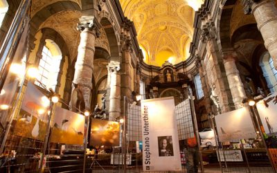 Festival and lectures