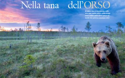 Stefano’s work on bear on National Geographic