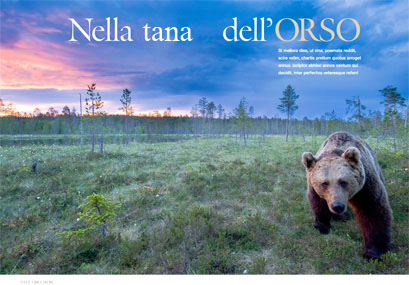 Stefano’s work on bear on National Geographic