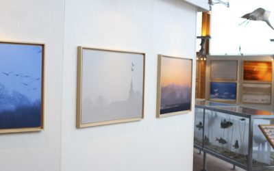 Exhibit in Sweden