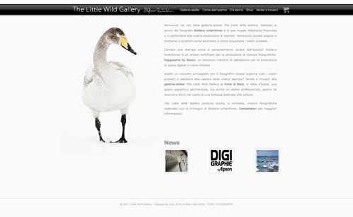 The website for the Little Wild Gallery