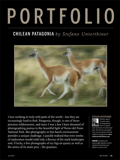 BBC_Wildlife_Chile