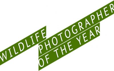 Judge for Wildlife Photographer of the Year 2010