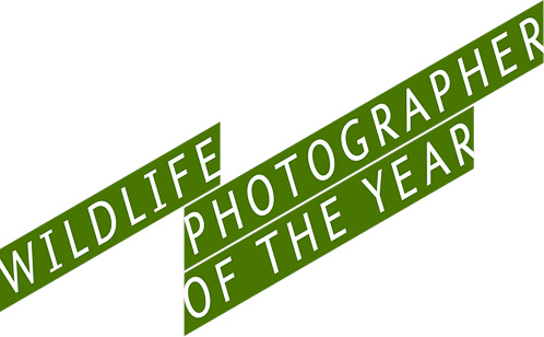Judge for Wildlife Photographer of the Year 2010