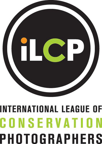 iLCP