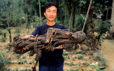 Vietnam story