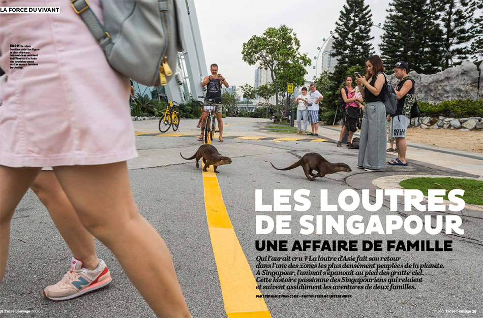 Otter story in Terre Sauvage