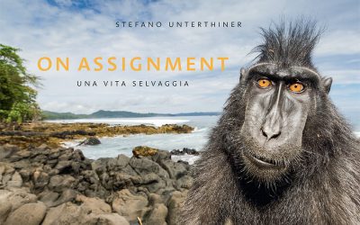 ‘ON ASSIGNMENT’ is here!