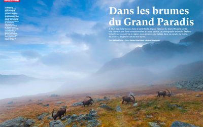 Gran Paradiso, cover and portfolios