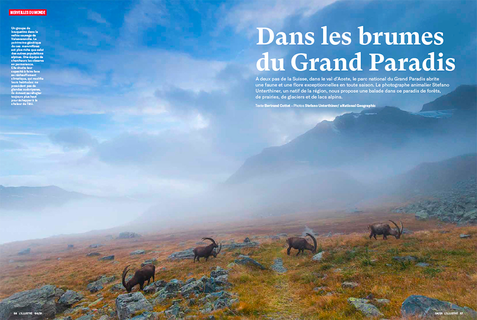 Gran Paradiso, cover and portfolios