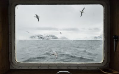 An update from Svalbard