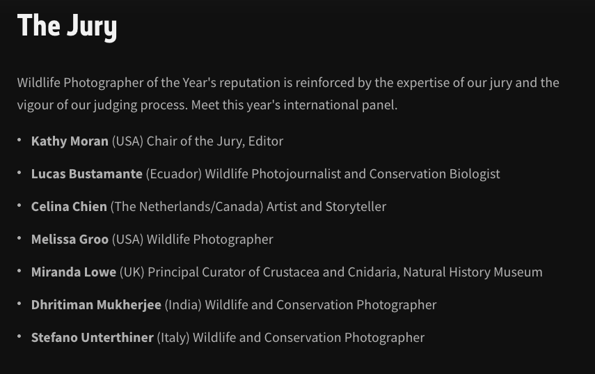 Judge for the WPY competition