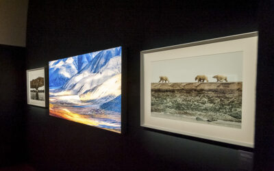 Exhibit – Una finestra sull’Artico