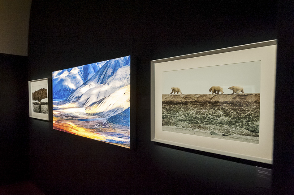 Exhibit – Una finestra sull’Artico