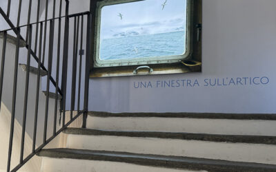 Una finestra sull’Artico – 28,000 visitors!