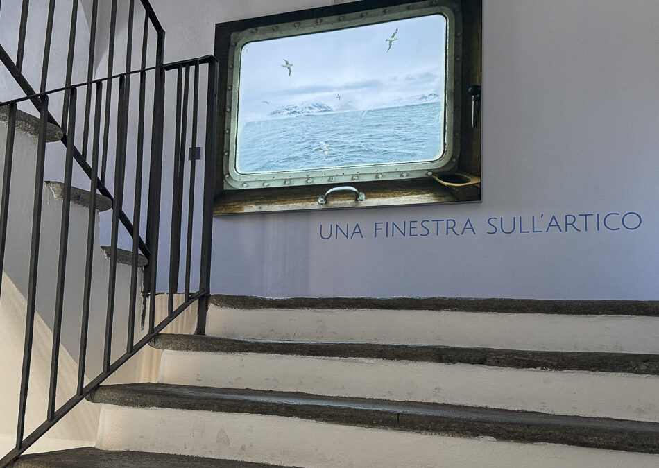 Una finestra sull’Artico – 28,000 visitors!